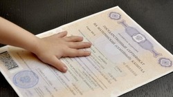 Более 5500 жителей региона получили сертификаты на материнский капитал в 2024 году