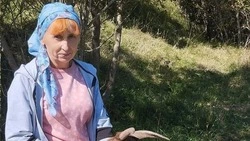 Жительница Ракитянского района стала участницей программы «Содействие»