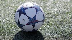 Чемпионат и первенство Белгородской области по мини-футболу завершилось в регионе