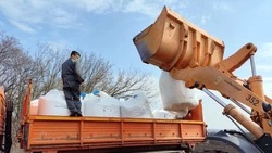 Ракитянские студенты принимают участие в посевной кампании