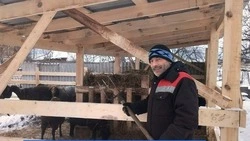 Ракитянец начал развивать личное подсобное хозяйство благодаря программе «Содействие»