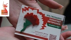 Белгородцы присоединились к акции «Красная гвоздика»