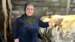 Краснояруженка получила помощь для осуществления предпринимательской деятельности