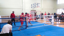 Ракитянские спортсмены приняли участие в открытом турнире по боксу