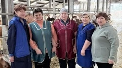 Ракитянские животноводы добились высоких надоев