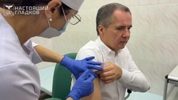 Губернатор Вячеслав Гладков поставил прививку от гриппа
