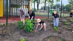 Работодатели Краснояружского округа получат компенсацию за затраты на трудоустройство подростков