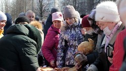 Минсельхоз Белгородской области озвучил предварительные итоги торговли на прошедшей 19 марта ярмарке