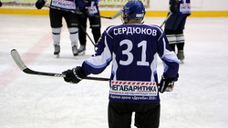 Мастера белгородского хоккея сыграли против команды «Дружба»