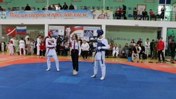 Ракитянская спортивная школа провела масштабные соревнования по тхэквондо