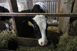 Вячеслав Гладков пообщался с участником СВО