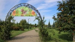 Дендропарк уже 10 лет украшает Ракитянский район  
