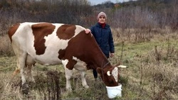 Ракитянка стала участницей программы «Содействие»