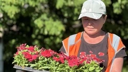Ракитянские озеленители продолжат высадку цветов на территории округа