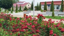 Краснояружские озеленители продолжат содержать в порядке зелёные насаждения районного центра