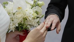 22 молодые семьи из Шебекина заключили брачный союз 
