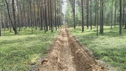 Правительство Белгородской области подвело итоги пожароопасного сезона 2022 года