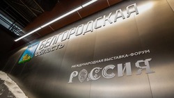 Вячеслав Гладков рассказал о 600 тыс. гостях белгородского павильона на выставке-форуме «Россия»