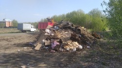 Ракитянцы стали участниками ежегодной экологической акции #Экочеллендж31