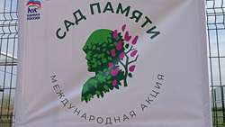 Ракитянцы заложили «Сад Памяти» в Бобравском сельском поселении