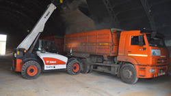 Краснояружская компания «Приосколье-Агро Семена» произвела около 20 тысяч тонн семян
