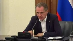 Губернатор Вячеслав Гладков начал большую прямую линию