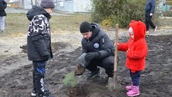 Жители Краснояружского района открыли парк семейных деревьев