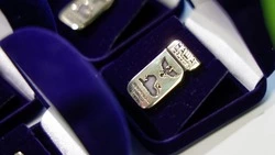 Губернатор Вячеслав Гладков рассказал о лауреатах конкурса достижений «Наша гордость»