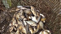 Ракитянцы провели зарыбление водоёма