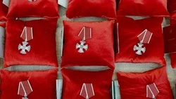 Вячеслав Гладков сообщил о вручении государственных наград семьям погибших участников СВО 