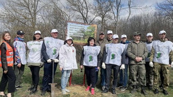 Белгородцы приняли участие в международной акции «Сад Памяти»