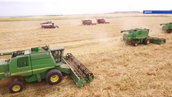 Аграрии региона запланировали преодолеть планку 3 млн тонн валового сбора зерновых
