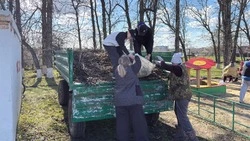 Краснояружцы и ракитянцы участвуют в месячнике добровольного служения Белгородской области