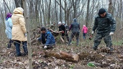 Ракитянцы продолжат участвовать в экологических акциях