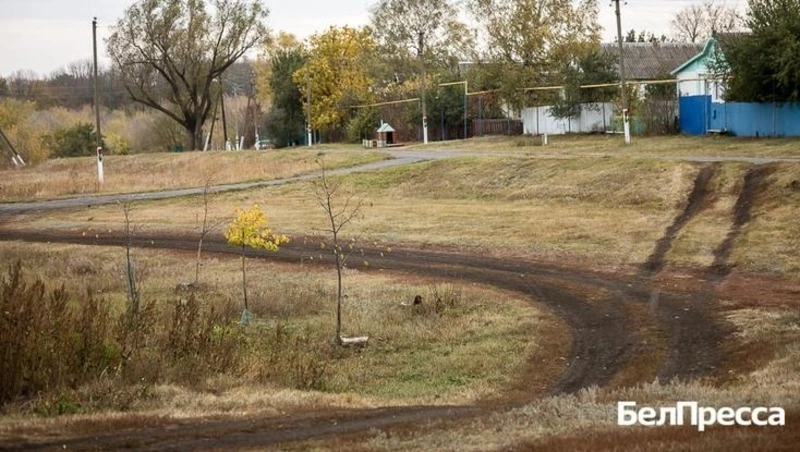 Вячеслав Гладков рассказал об установке вышек сотовой связи в 2025 году