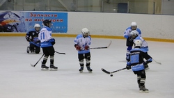 Ракитянский «Метеор» победил в первенстве Белгородской области по хоккею с шайбой