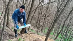 Ракитянские ветеринары продолжат профилактическую работу в дикой природе