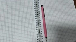 Одиннадцатиклассники Белгородской области написали итоговое сочинение