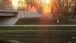 Более 140 тыс. белгородцев приняли участие в голосовании за объекты благоустройства
