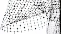 Вячеслав Гладков сообщил о подготовке к строительству антидроновых коридоров