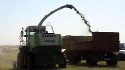 Аграрии Ракитянского района практически завершили уборку кукурузы на силос