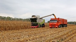 Вячеслав Гладков сообщил о рекордном количестве урожая в Белгородской области 