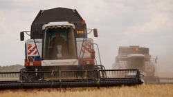  Вячеслав Гладков сообщил о поставках белгородским аграриям техники на 6 млрд рублей в прошлом году