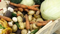 Вячеслав Гладков оценил работу торговых сетей во время нештатного отключения электричества