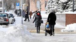 Все выплаты на детей придут белгородцам до 20 января