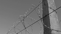 Ракитянский районный суд приговорил жителя Узбекистана к 12 годам тюрьмы