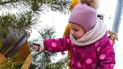 Дети из Краснояружского округа поддержали экологическую акцию «Покормите птиц зимой»