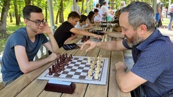 Белгородские власти откроют школу по шахматам в городе