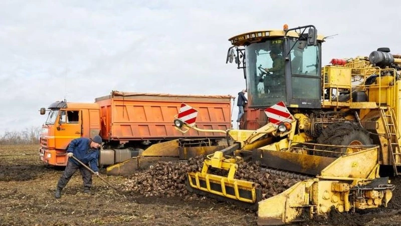 Вячеслав Гладков подвел итоги развития аграрной сферы в Белгородской области