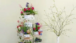 Краснояружцы отличились в областном конкурсе выгоночных растений «Приближая дыхание весны…»